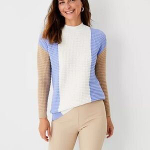 Ann Taylor Purple and Tan Crew Neck Sweater